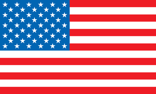Флаг США. Реферат Рефератович.